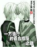 一方通行的百合综漫之旅
