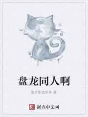 盘龙同人啊