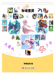 神奇宝贝之火箭队大少爷