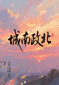 城南政北