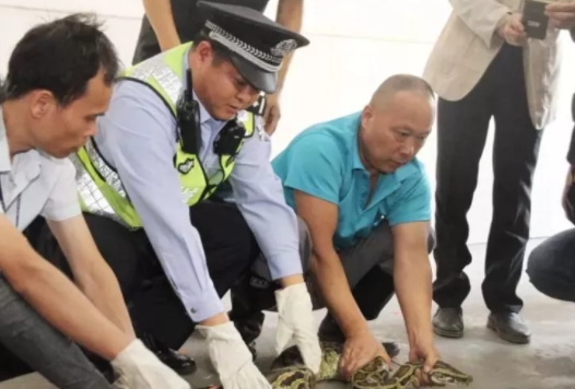微信截图_20200307170554.png