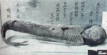 160F46246-2.jpg